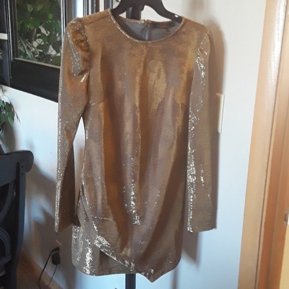 Short, Shimmery Go-Go Dress( Size Small)